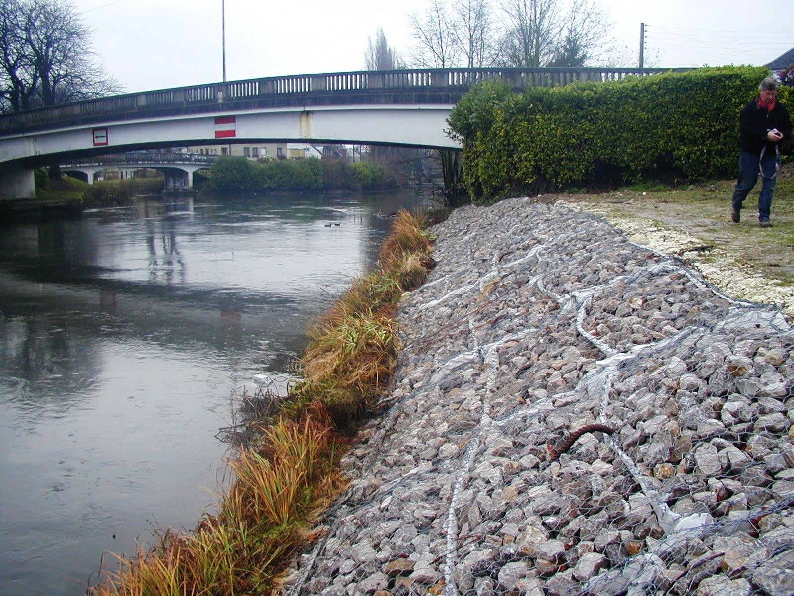 Image mise à l'avant Végétalisation du trait de côte et des berges