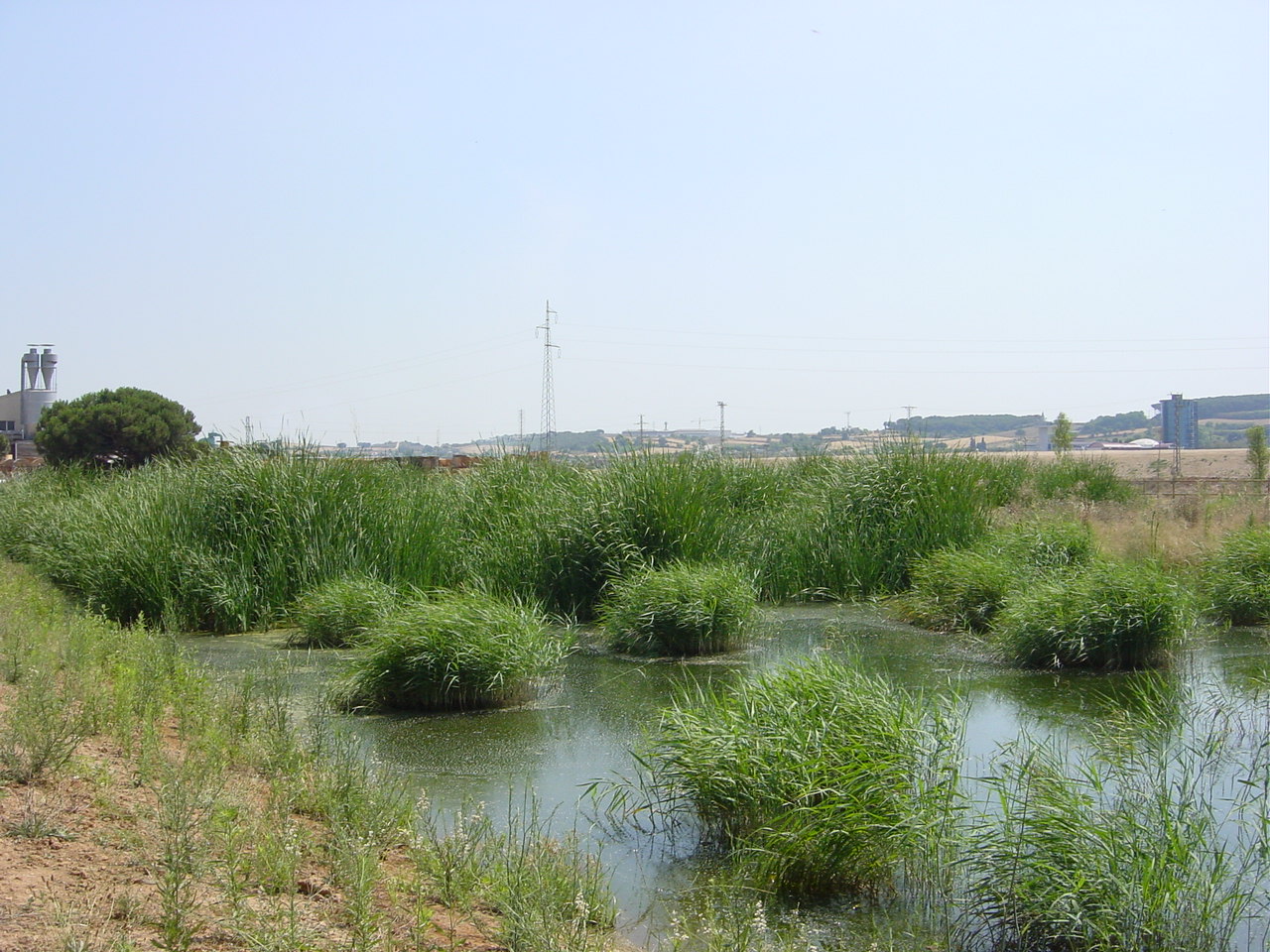 Image mise à l'avant Sanctuaire de biodiversité