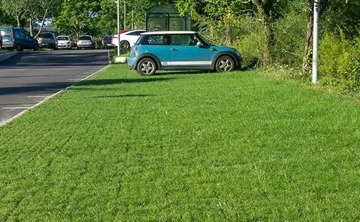 Image mise à l'avant Dalles alvéolaires de stabilisation